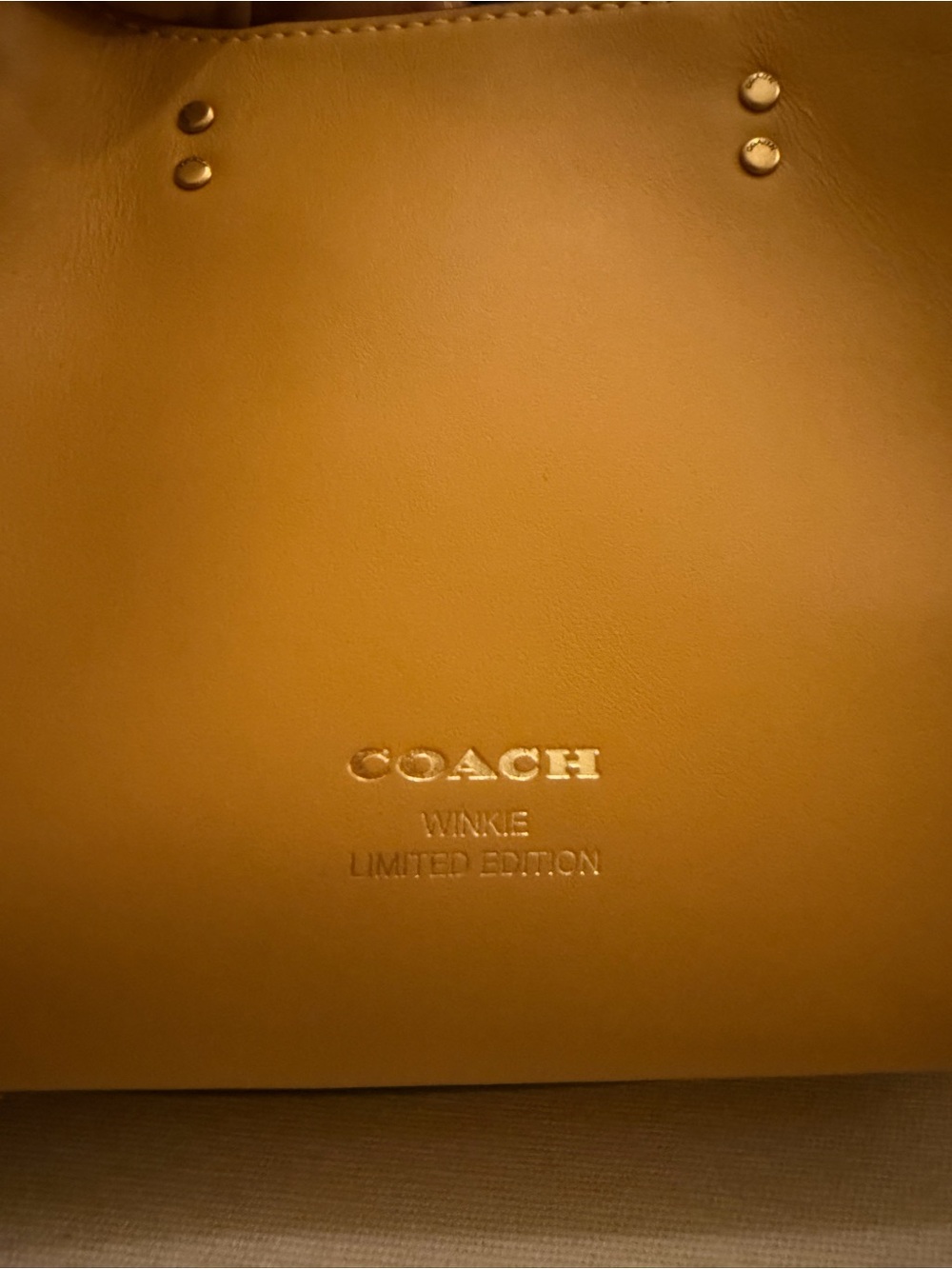 LIMITED EDITION COACH COACHIE WINKIE - Picture 2 of 5
